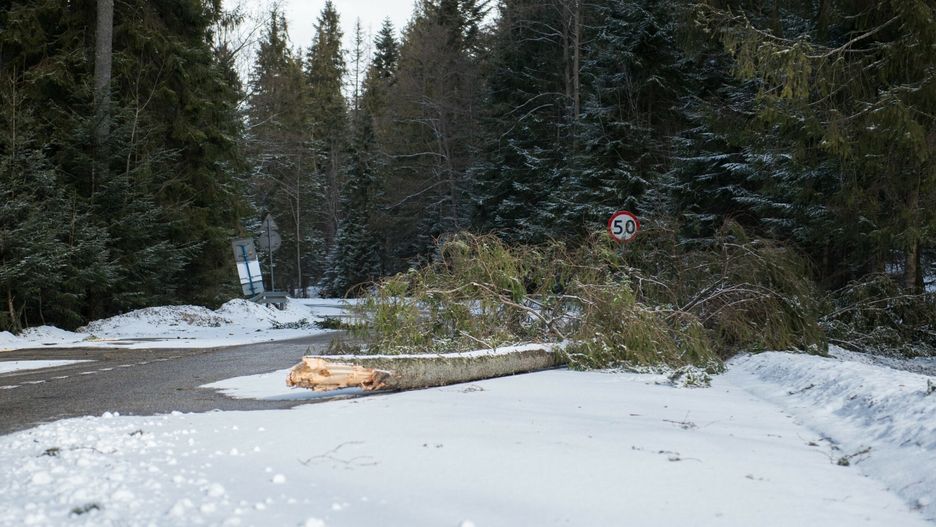 Czechy. Wiatr powalił pięciometrowe ogrodzenie. Nie żyje jedna osoba 