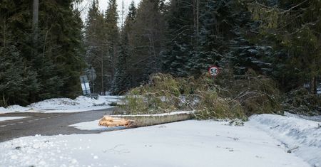 Czechy. Wiatr powalił pięciometrowe ogrodzenie. Nie żyje jedna osoba