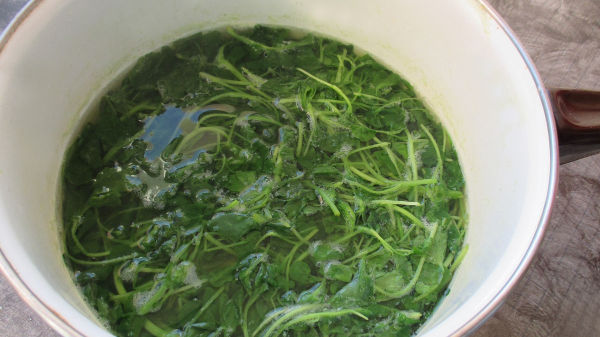 Watercress Raw food Preparation for making a soup
Watercress Raw food Preparation for making a soup
nobtis