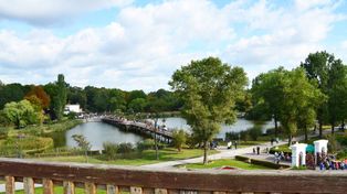 Inowrocław: Powstaje ogród deszczowy. To pierwsza taka inwestycja w mieście