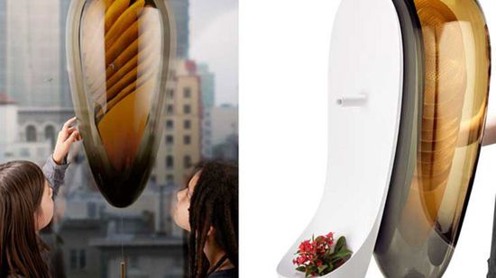 Philips chce budować ule? 1