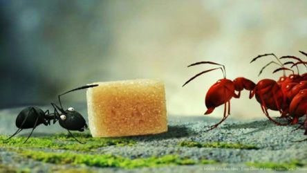 Robaczki z Zaginionej Doliny – narkotyki, kosmici i rzeź 1