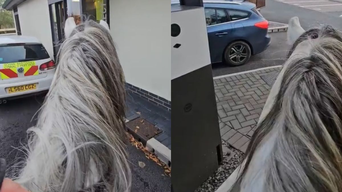 Pojechał na koniu do McDonald's. Sprawdził, czy go obsłużą