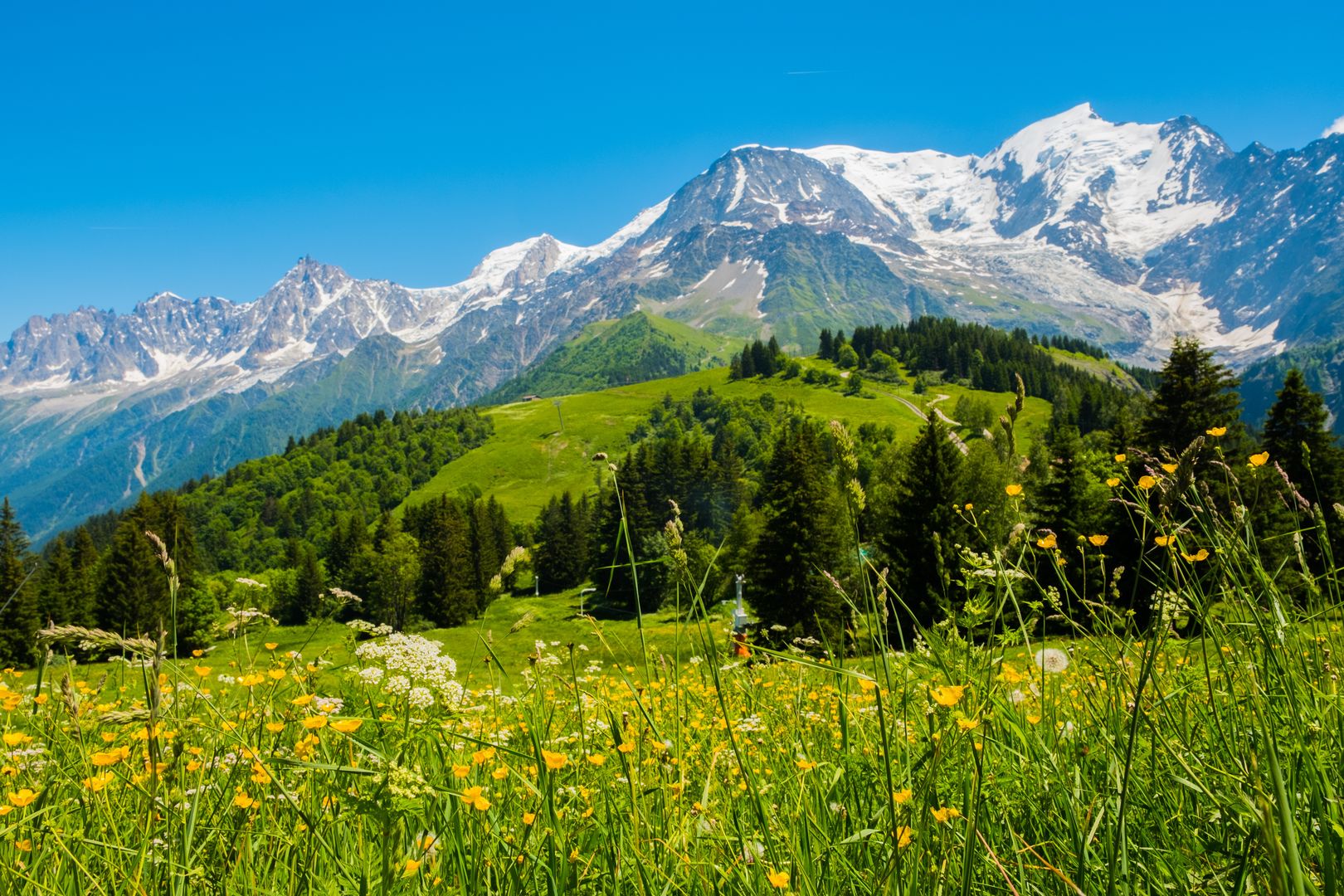 Widok na Mont Blanc 