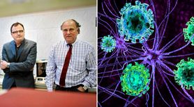 Tajemnica SM rozszyfrowana. Sukces polskich naukowców!