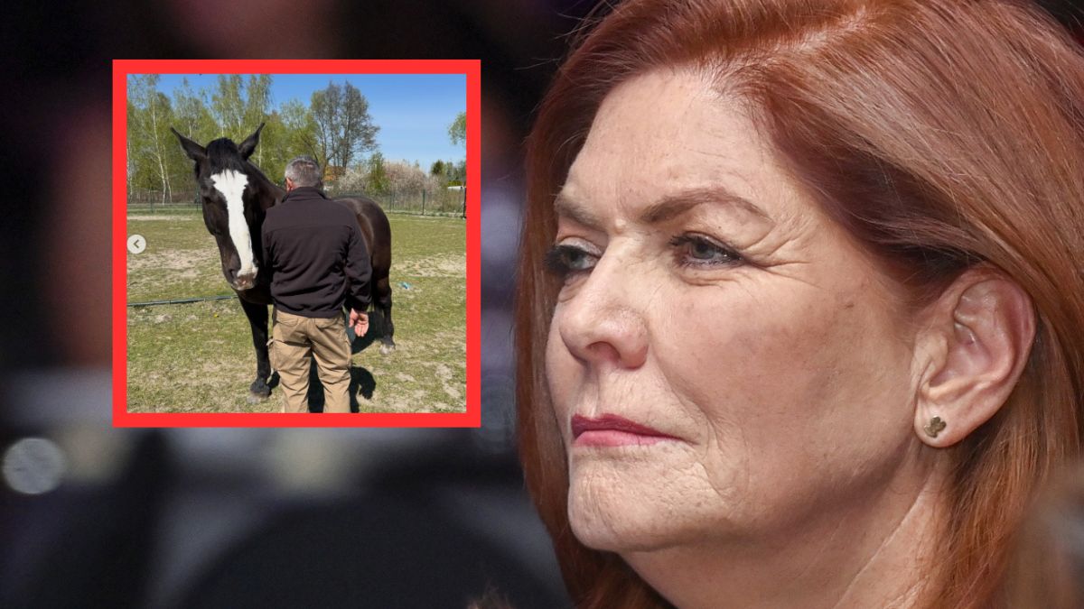 Katarzyna Dowbor pokazała swój ogród. To efekt aukcji WOŚP