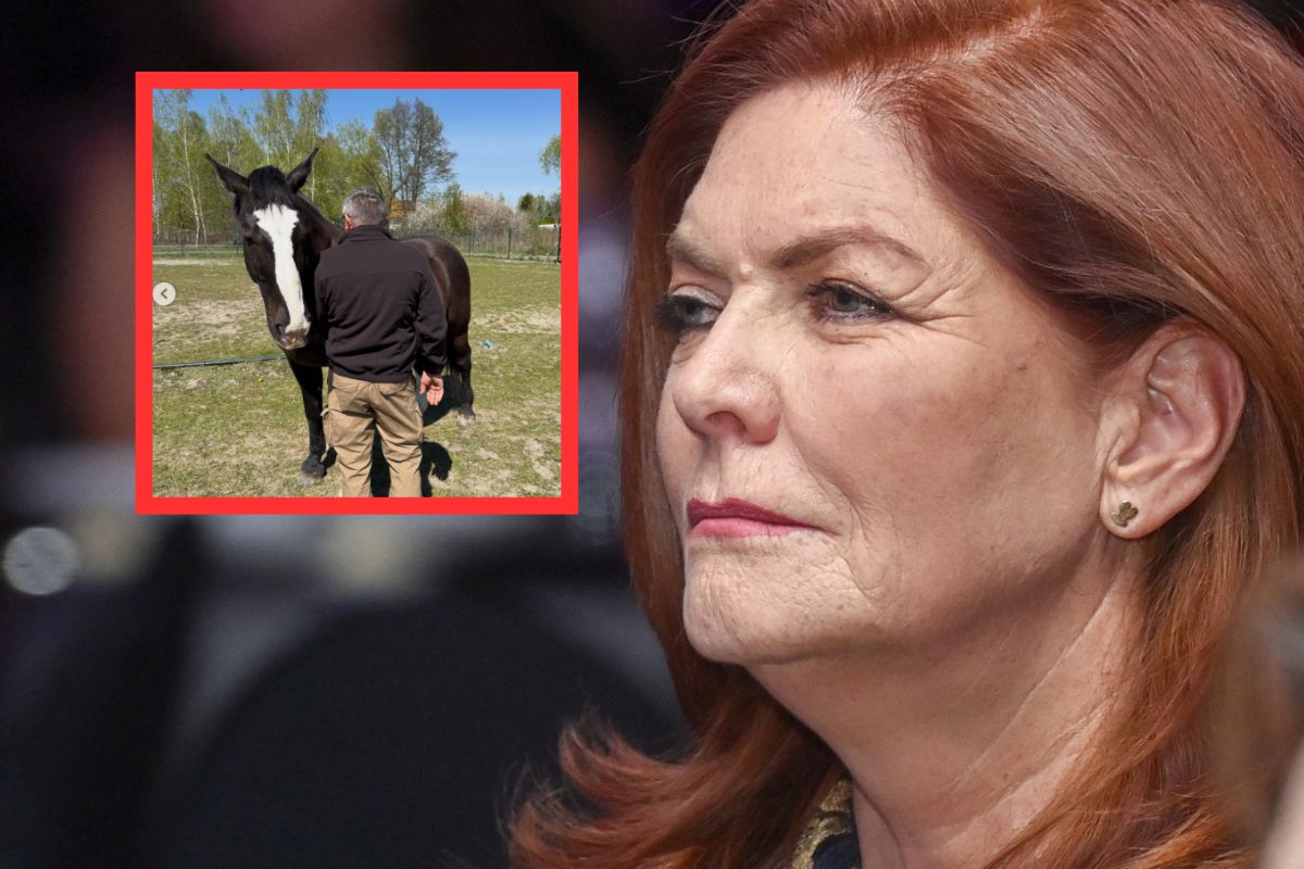 Katarzyna Dowbor pokazała swój ogród. To efekt aukcji WOŚP