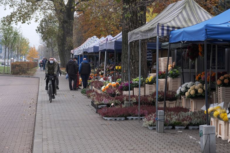 Zamknięcie cmentarzy. Rządowe agencje będą skupować chryzantemy