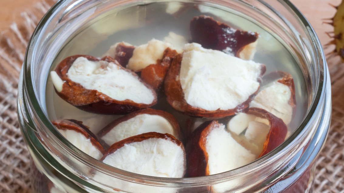 Wyciąg z kasztanowca może pomóc przy problemach z żyłami