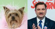 Piotr Duda tłumaczy się Lisowi z psa: "Kacper śpi z nami w łóżku!"