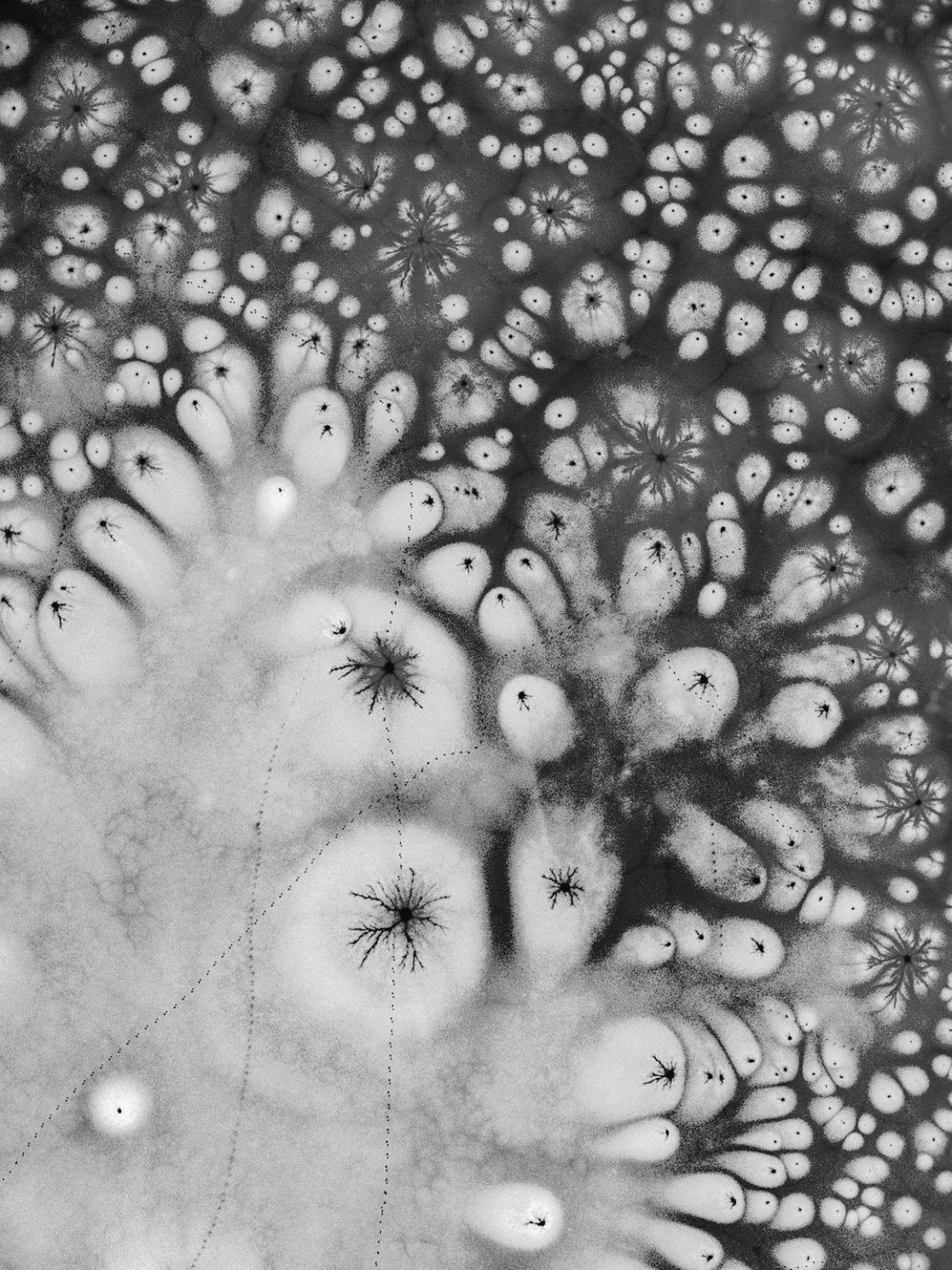 Projekt "Event Horizon"