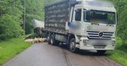 Ostróda: Naczepa z drobiem wylądowała w rowie. Utrudnienia na drodze wojewódzkiej nr 530