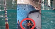 Dramatyczne sceny na basenie w Sosnowcu