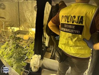Dom w budowie skrywał plantację marihuany. Wszędzie wisiały ścięte krzewy