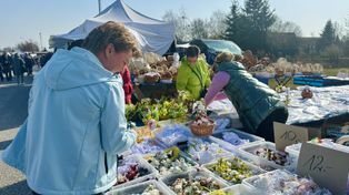 Tarnobrzeg: Środa na targu. Na marcowych straganach królują wielkanocne ozdoby