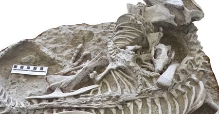 Naukowy dowód zapiera dech. Odkrycie w "Pompejach dinozaurów"