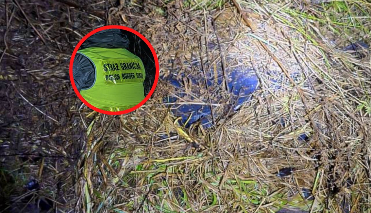 Przyłapana w krzakach. 47 tys. sztuk. Interwencja służb
