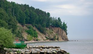 Urząd Morski kontra Bałtyk. Chronią brzegi, sadzą rośliny i budują umocnienia