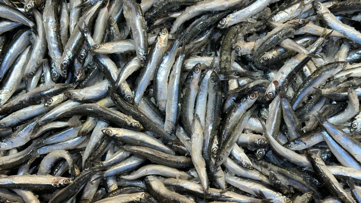 Dieta nordycka to prosty, zdrowy i naturalny styl życia.