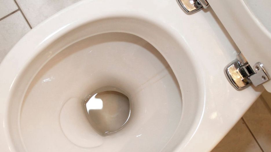 Jak wyczyścić muszlę klozetową?