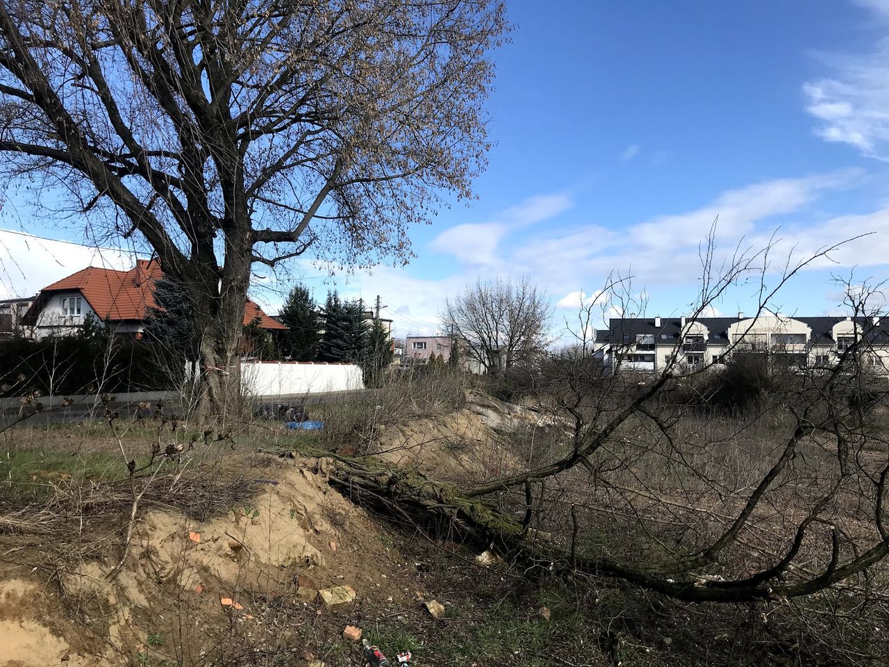 Tragedia w Morawinie. Dwie dziewczynki uderzone przez spadającą gałąź.