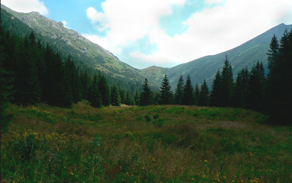 Słowackie Tatry. Zaginął 54-letni Polak. Ratownicy proszę o pomoc