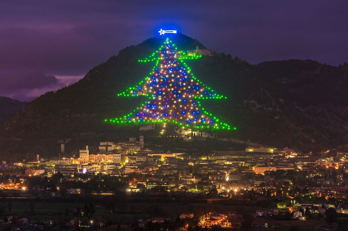 Italy's Gubbio lights up world's largest Christmas tree for 30th unbroken year