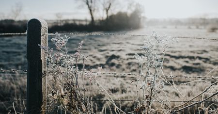 Pogoda szaleje na początku czerwca. IMGW wydał ostrzeżenia!