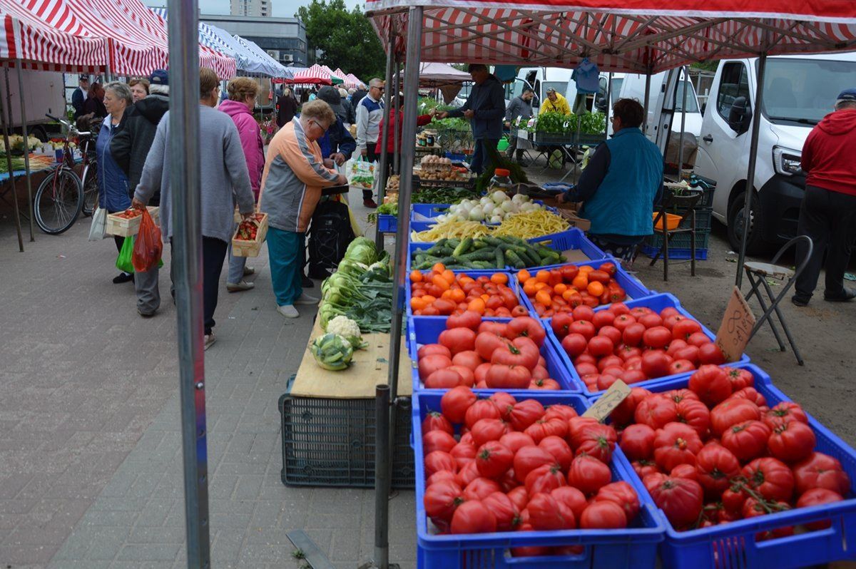 Pomidorów jest dużo w dużym wyborze