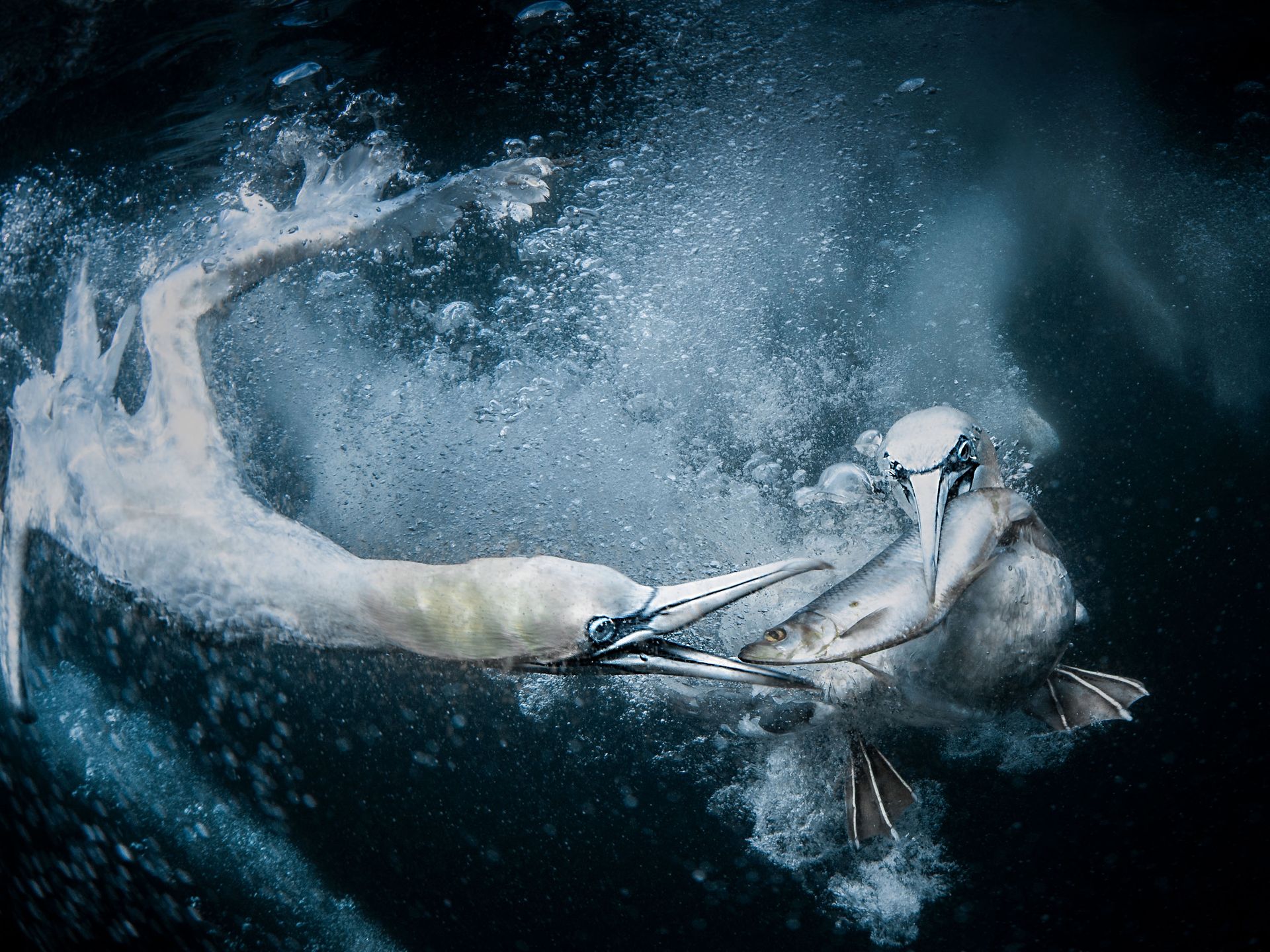 Piotr Leczkowski zwycięzcą polskiej edycji National Awards w Sony World Photography Awards 2019 2