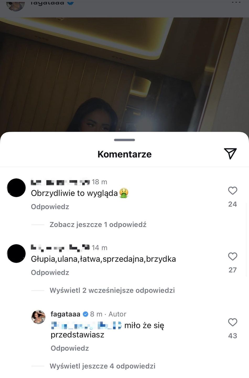 Fagata odpowiedziała na złośliwości internautów