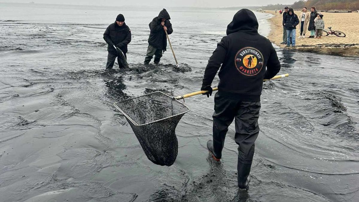 Bursztyniarze w Bałtyku