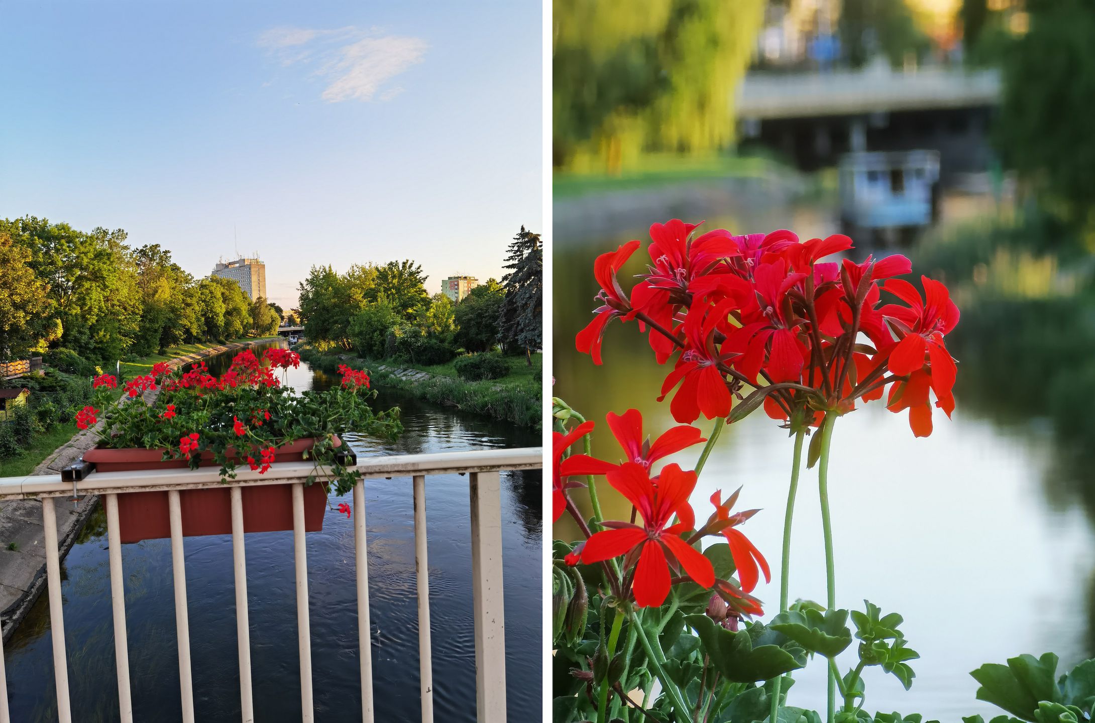 Taki zoom to ja rozumiem. Huawei P40 Pro+: test aparatu 14