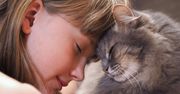 Naukowcy: koty przyczyną zaburzeń psychicznych. Alarmujące wyniki badań