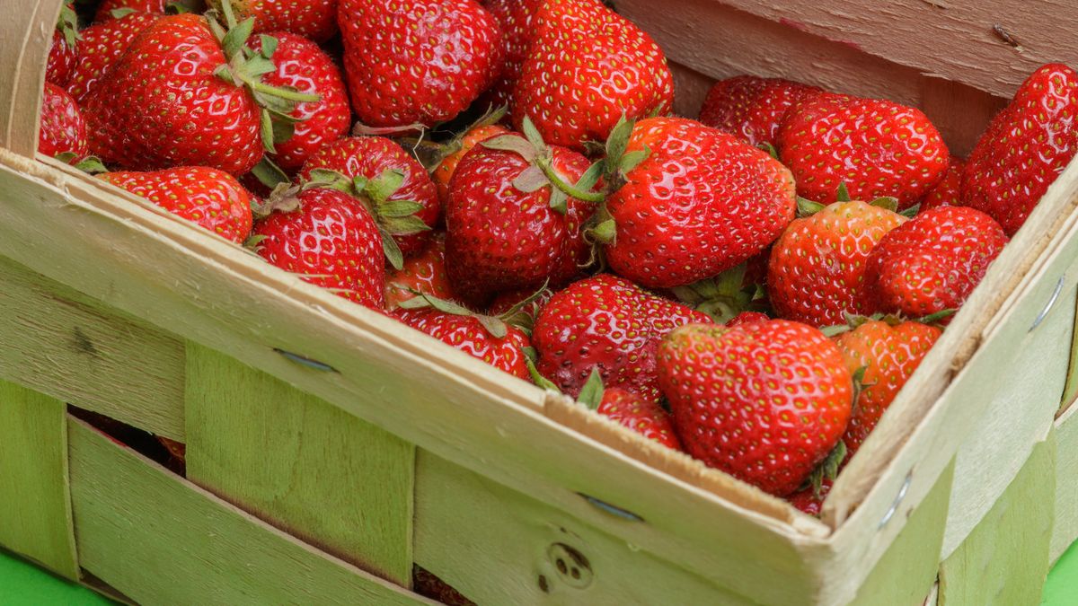 Ile będą kosztowały truskawki?