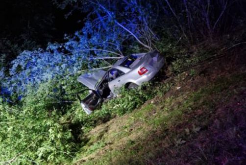 Z wstępnych ustaleń wynika, że na jezdnię przed nadjeżdżające audi wbiegł łoś. 