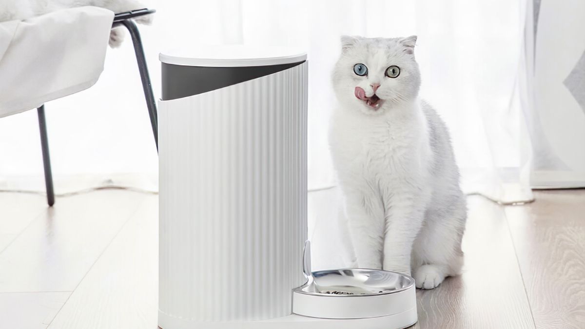 Xiaomi FurryTail: luka pozwoliła kontrolować 11 tys. podajników karmy dla kotów