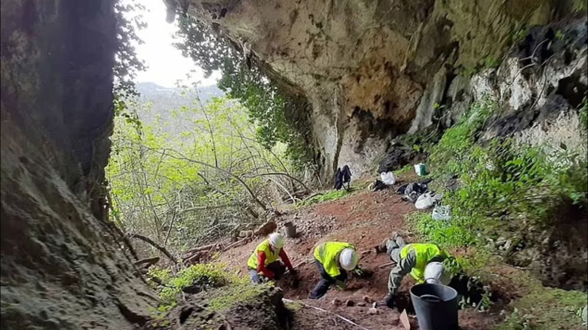 Niezwykłe znalezisko borsuka. To monety od III do V wieku naszej ery