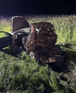 Ojciec i syn nie żyją. Alan G. złożył wyjaśnienia, trafił do aresztu