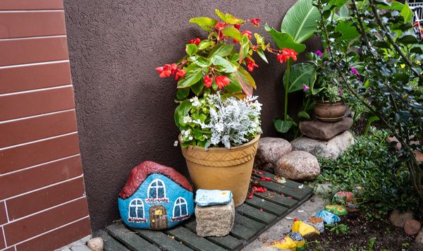 Piła, czarodziejski ogród