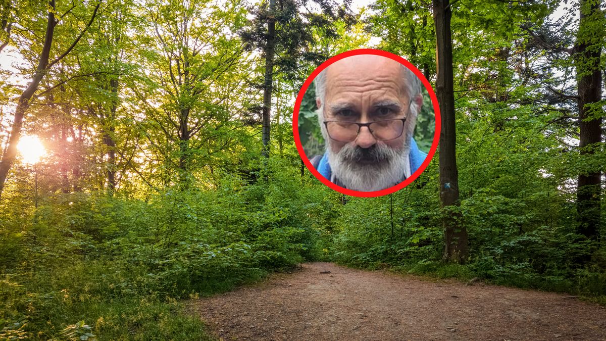 Gąski sosnowe są już obecne w polskich lasach.