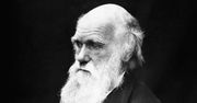 Zaginęły notatniki Karola Darwina. Były warte miliony