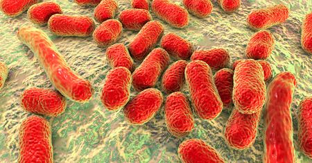 Antybiotyk na groźną bakterię. Do odkrycia przyczyniła się AI