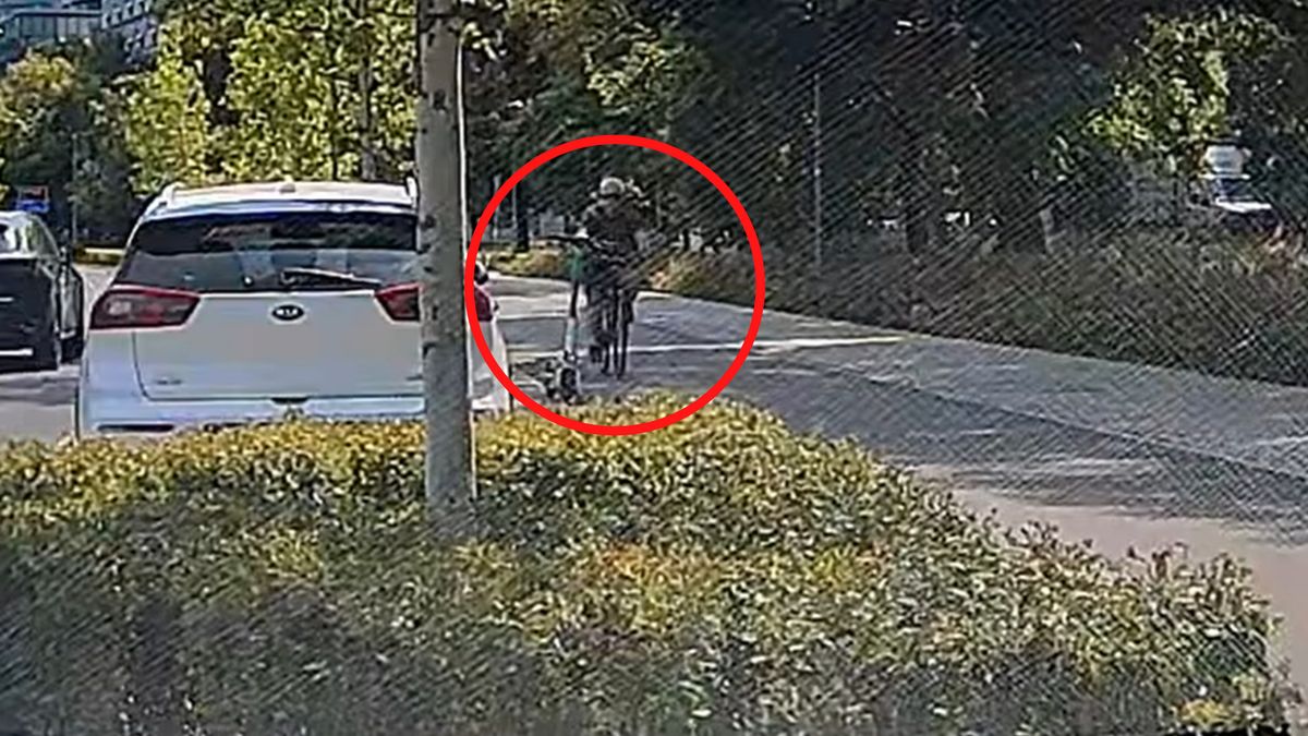 Wybryk rowerzysty w Warszawie.