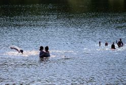 Bulwersująca sytuacja nad stawem w Katowicach. Policja zabiera głos