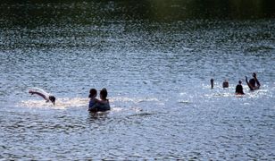 Bulwersująca sytuacja nad stawem w Katowicach. Policja zabiera głos