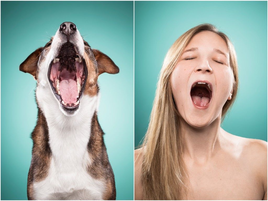 „The Dog People” - zabawne portrety ludzi, którzy naśladują swoje psy 18