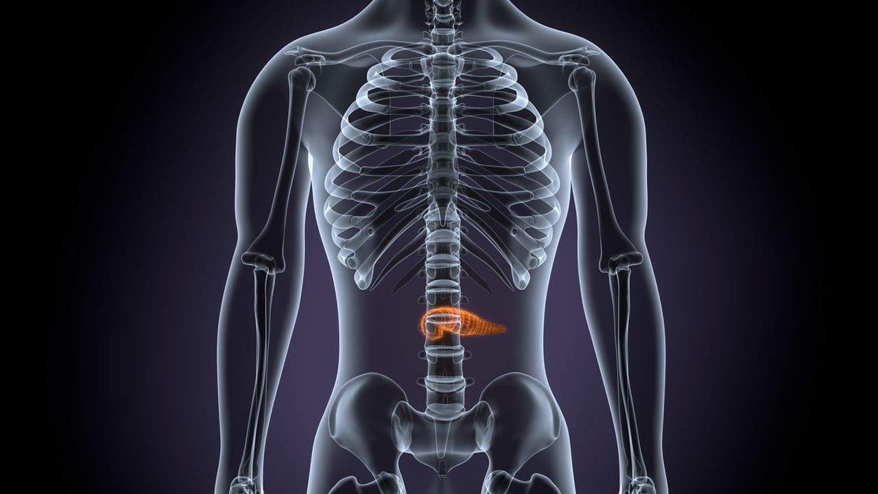 Naturalne oczyszczanie trzustki
