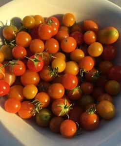 Lepiej usiądźcie. Oto cena pomidorów w jednym z polskich sklepów