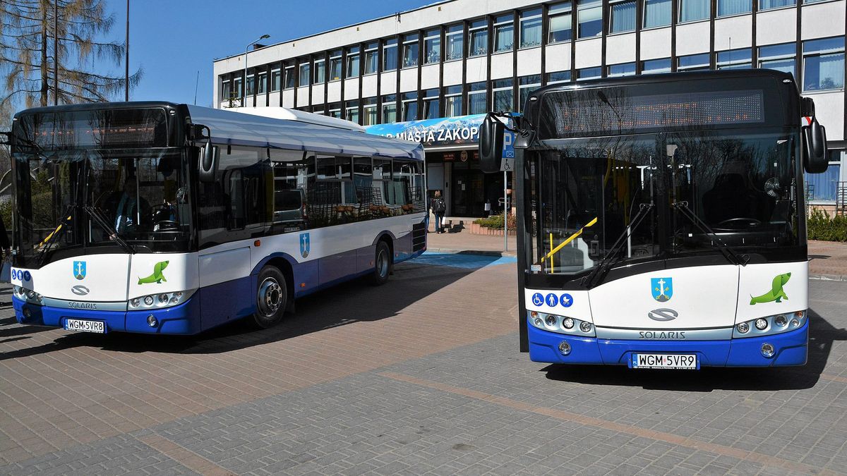 Autobusy w Zakopanem - zdjęcie ilustracyjne 